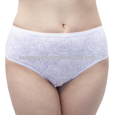  santini 7924 (2) (,  2)