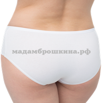  santini 600 (,  1)
