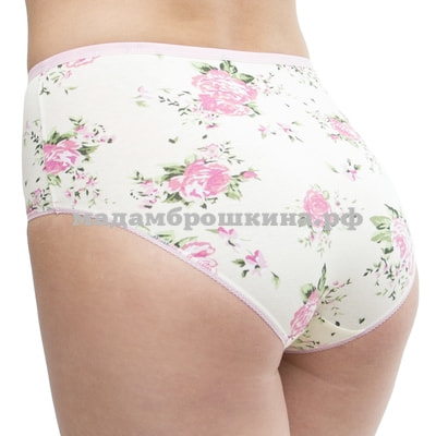  santini 356 (2) (,  2)